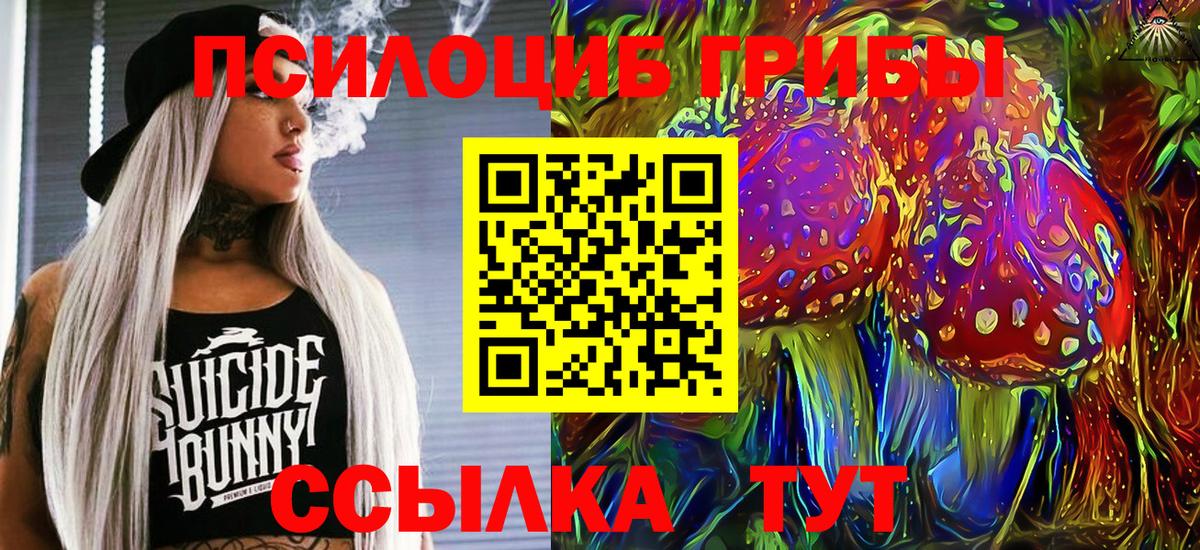 Псилоцибиновые грибы Psilocybine cubensis  Псилоцибиновые грибы мицелий  Вход с VPN  Рузаевка 